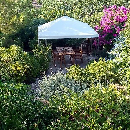 Aegina'S Oasis 빌라 외부 사진