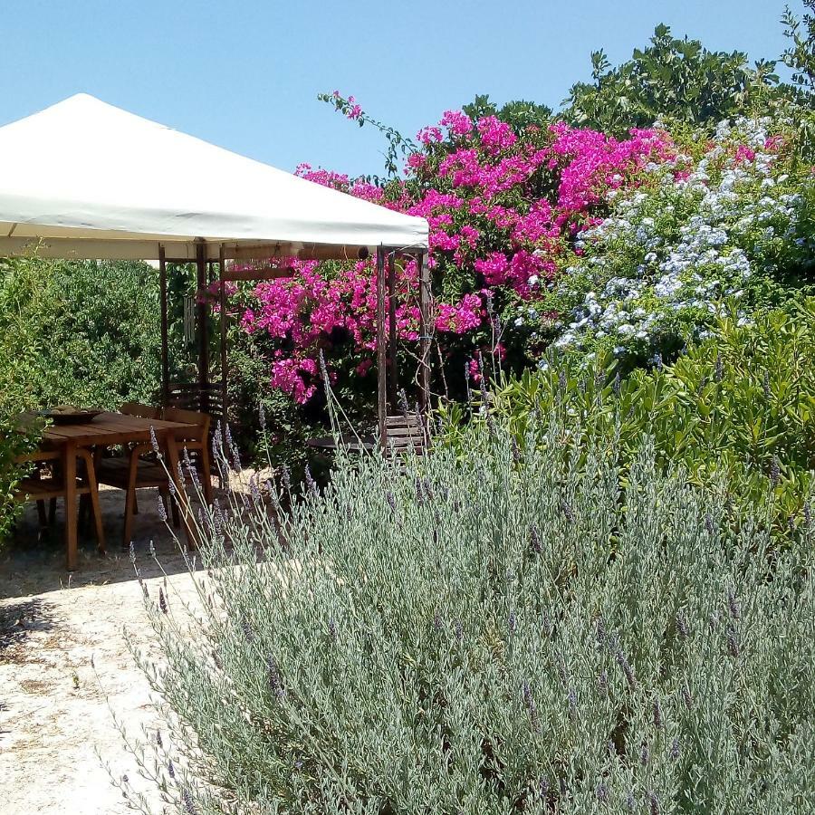 Aegina'S Oasis 빌라 외부 사진