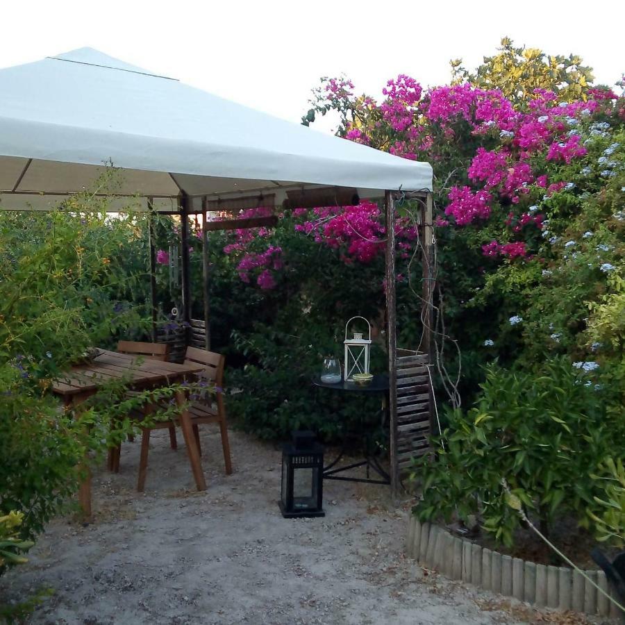 Aegina'S Oasis 빌라 외부 사진